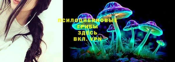 бутират Козловка