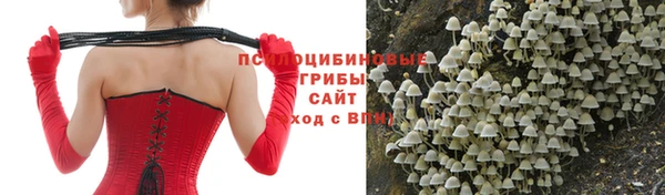 мдпв Костерёво
